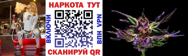Магазин наркотиков Пудож Псилоцибиновые грибы  СОЛЬ  ГАШИШ  БУТИРАТ  COCAIN 