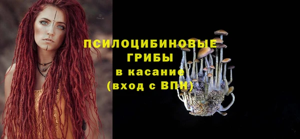 прущая мука Покров