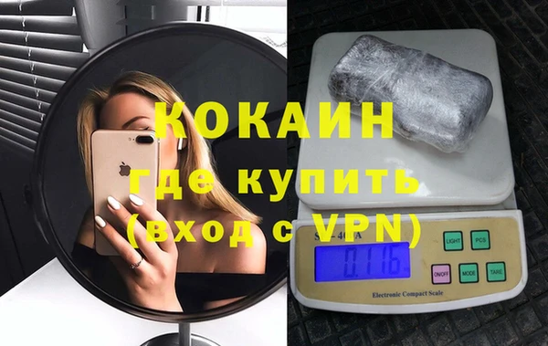 гидра Покачи