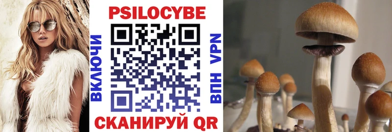 Псилоцибиновые грибы Psilocybe  Пудож 