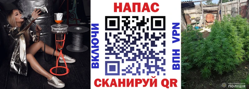 купить наркоту  гидра вход  shop наркотические препараты  Пудож  Канабис сатива 